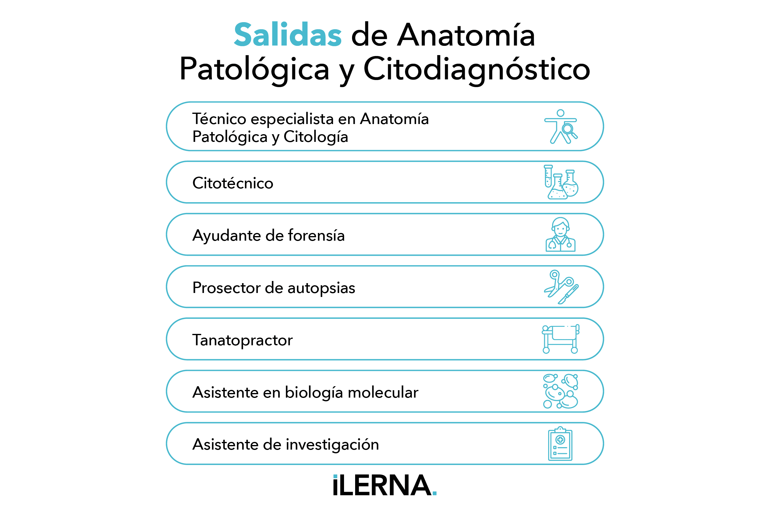 Salidas de Anatomía Patológica y Citodiagnóstico