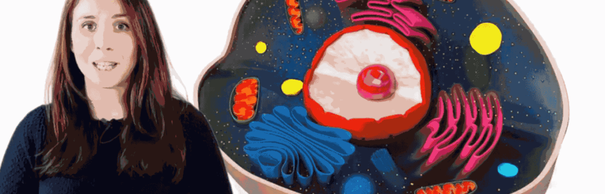 miniatura vídeo célula eucariota