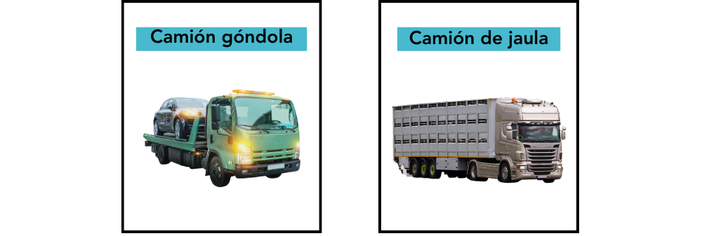 Imagen que muestra los diferentes tipos de camión 