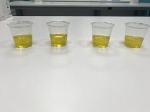 Farmacia y Parafarmacia