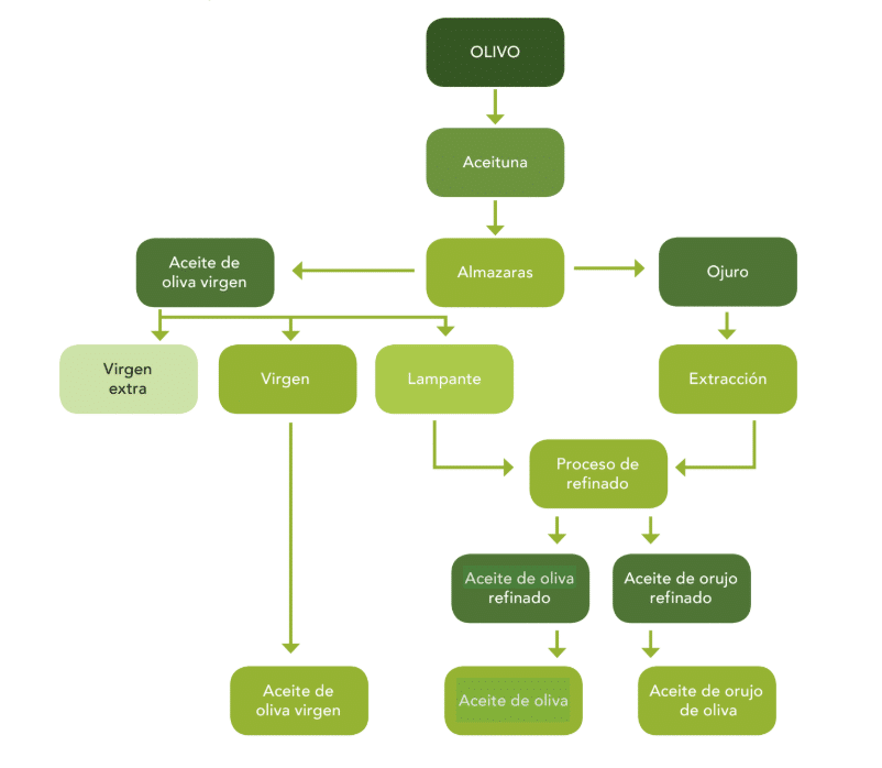 Esquema de obtención y de los tipos de aceite de oliva