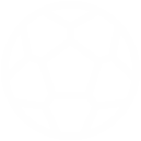 Técnico/a de Futbol
