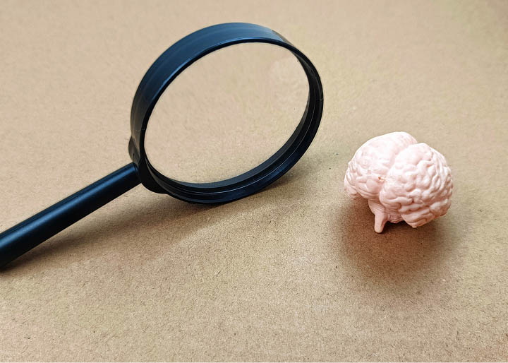 Estudio de la cognición humana en Formación Profesional y ámbito universitario