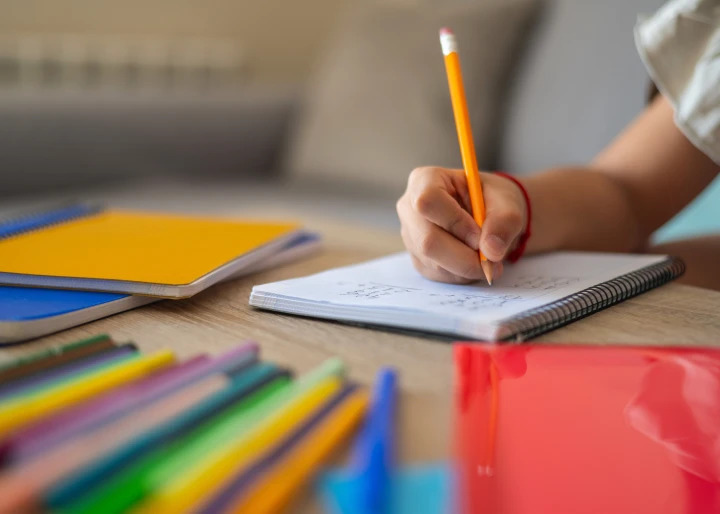 Plan formativo del curso Programa Universitario en Didácticas Específicas: Matemáticas, Ciencias Naturales y Ciencias Sociales