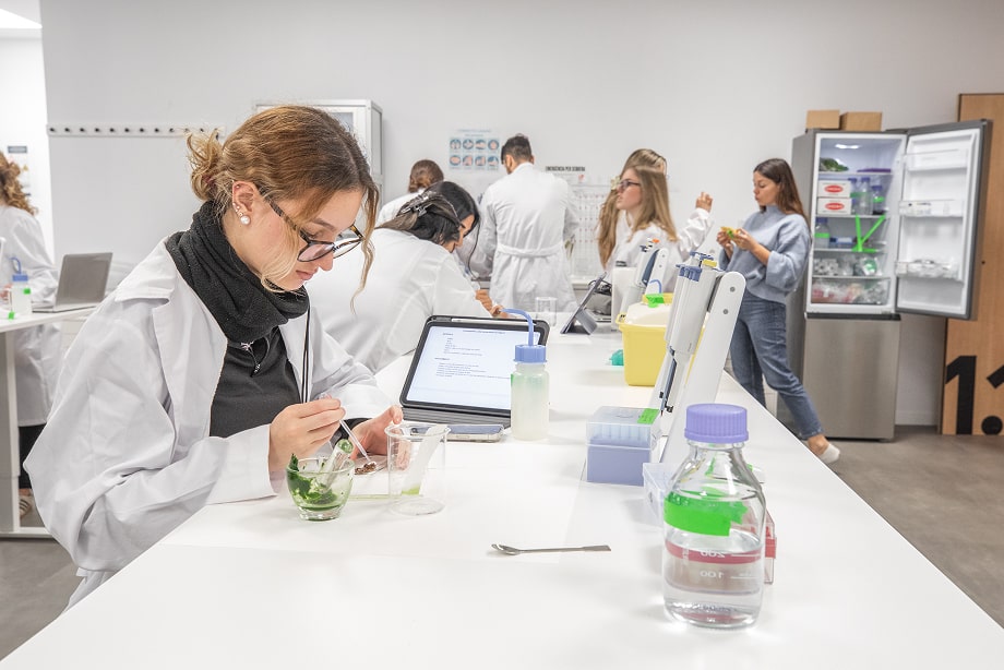 Alumnos de Formación Profesional en Barcelona ILERNA